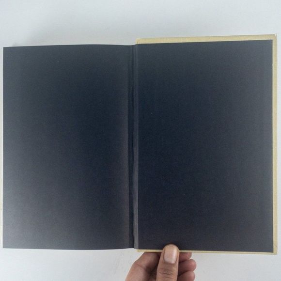 2/$50 - Among Thieves by George Cuomo - Picture 11 of 16